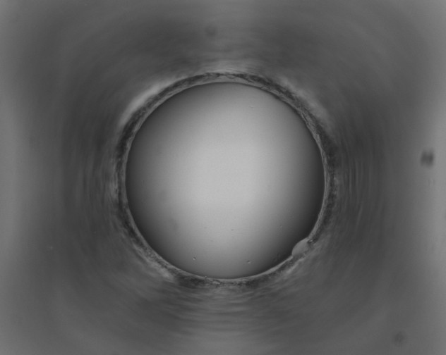 X0000094461262200711211533