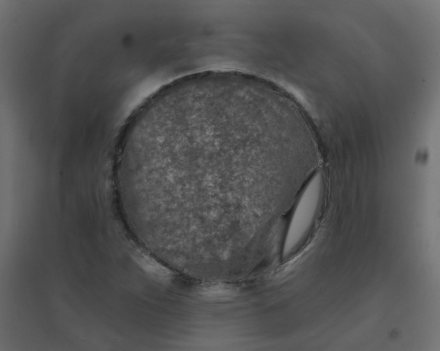 X0000094461263200711211533