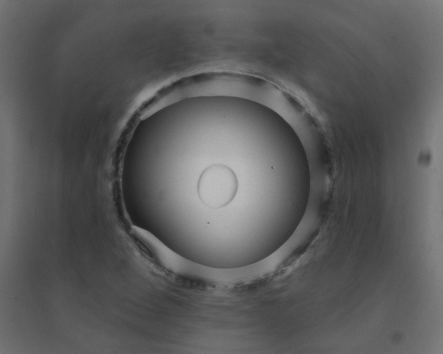 X0000094461264200711211533