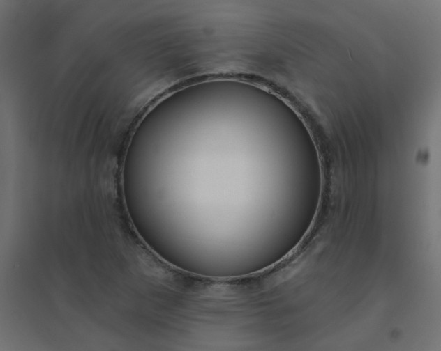 X0000094461265200711211533