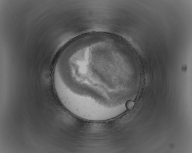 X0000094461266200711211533
