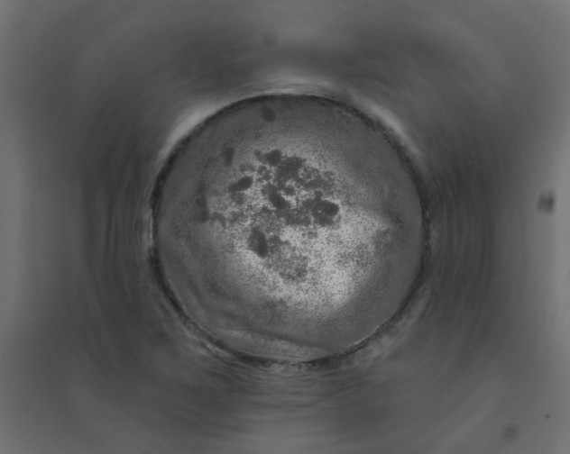 X0000094461267200711211533