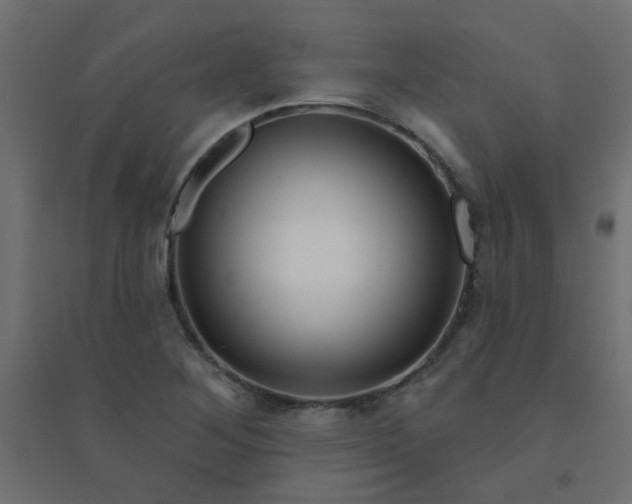 X0000094461268200711211533