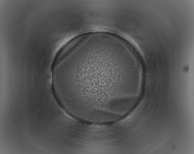 X0000094461269200711211533