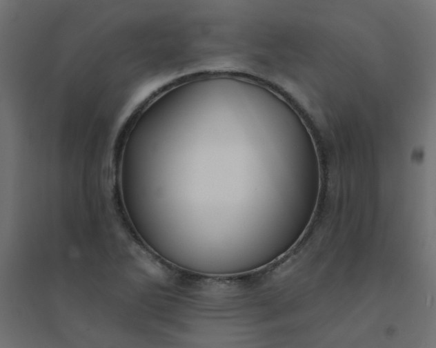 X0000094461270200711211533