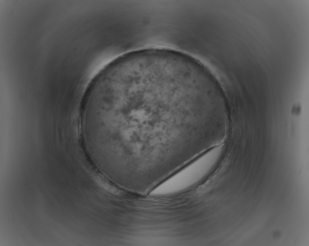 X0000094461271200711211533