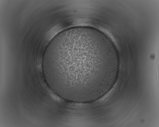 X0000094461273200711211533