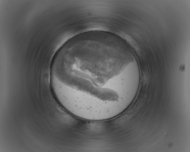 X0000094461274200711211533