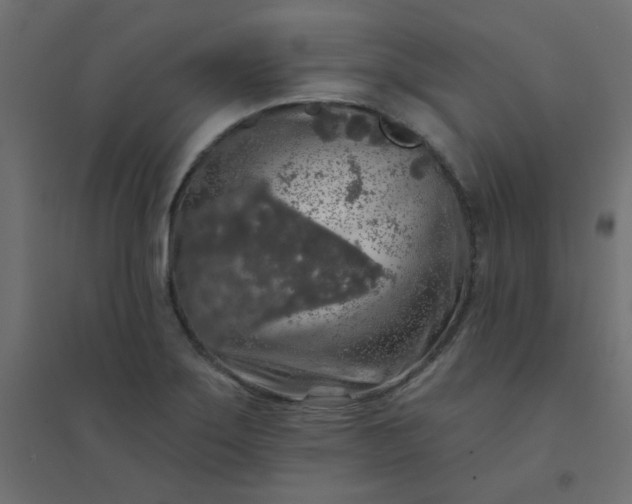 X0000094461275200711211533