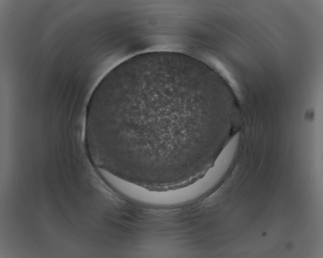 X0000094461276200711211533