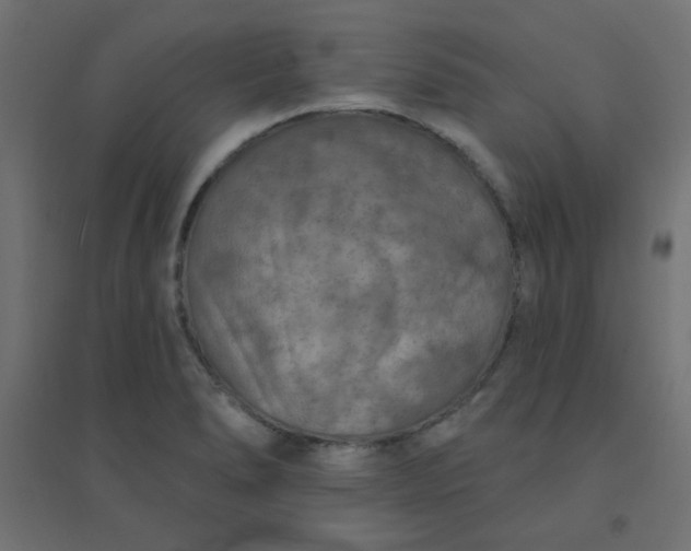 X0000094461278200711211533