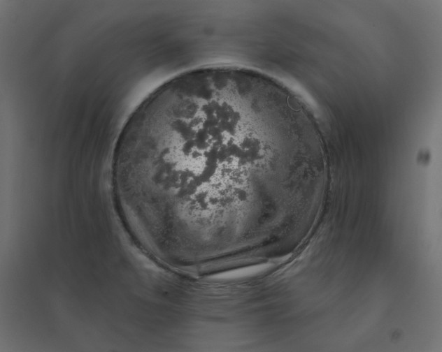 X0000094461279200711211533