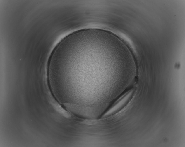 X0000094461280200711211533