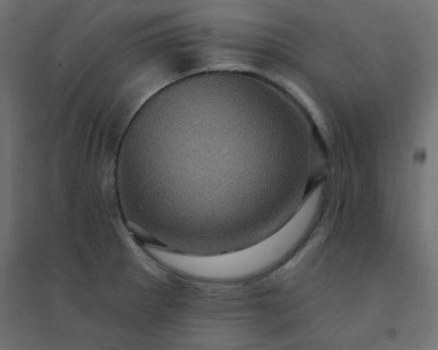 X0000094461281200711211533