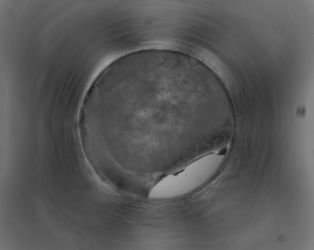 X0000094461283200711211532