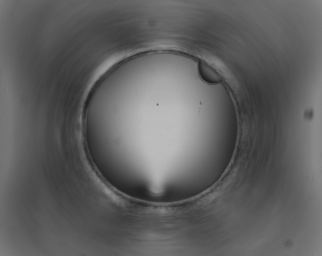 X0000094461286200711211532