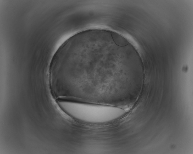X0000094461287200711211532