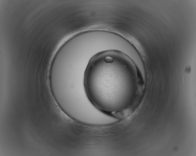 X0000094461288200711211532