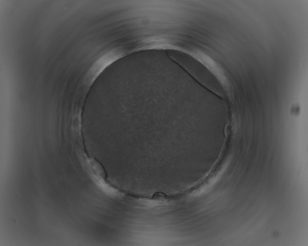 X0000094461289200711211532