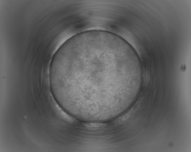 X0000094461290200711211532