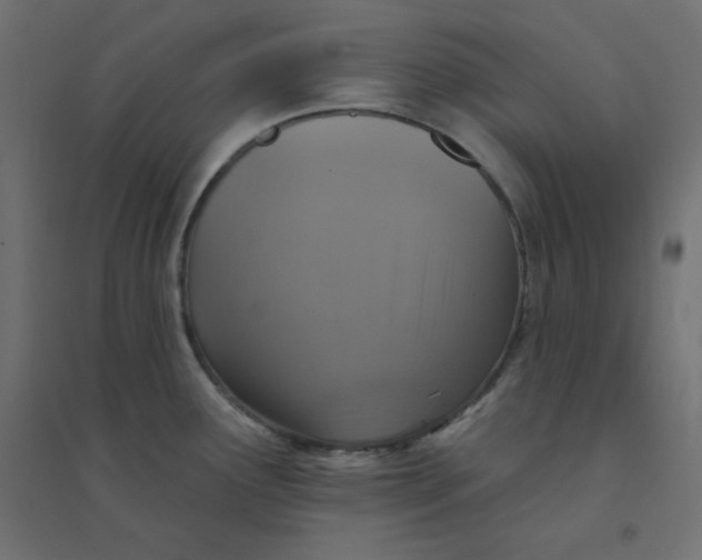 X0000094461291200711211532