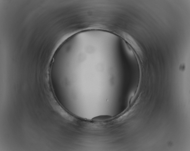 X0000094461292200711211532