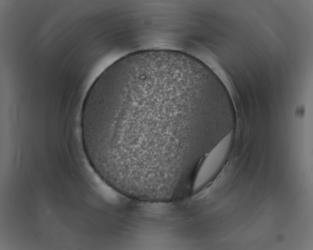 X0000094461293200711211532