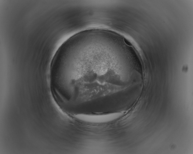 X0000094461295200711211532