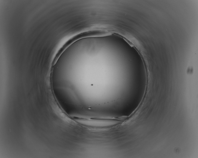 X0000094461296200711211532