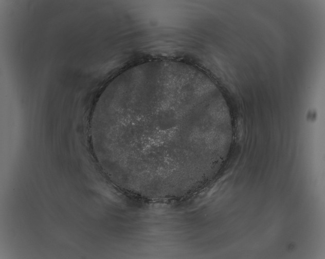 X0000094461297200711211531