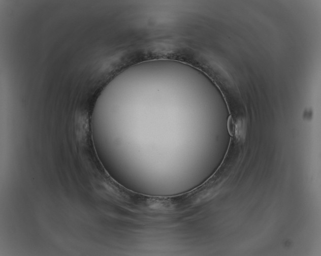 X0000094461299200711211531