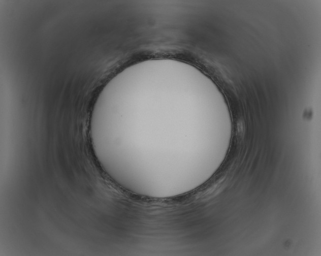 X0000094461300200711211532