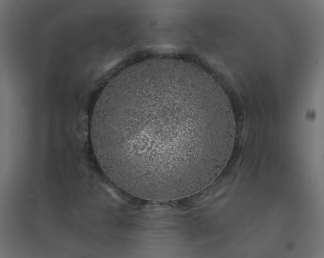 X0000094461301200711211532