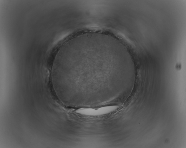 X0000094461302200711211532