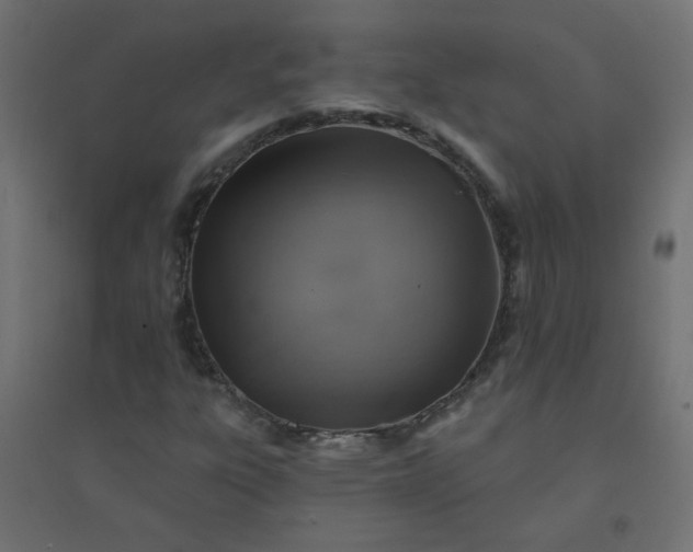 X0000094461303200711211532