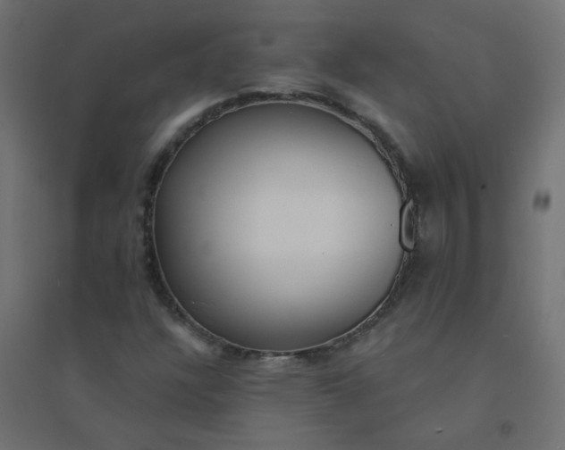X0000094461304200711211532
