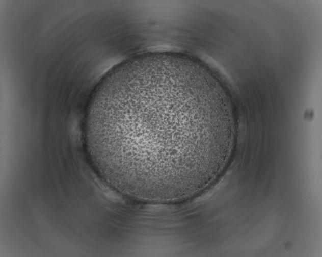 X0000094461305200711211532