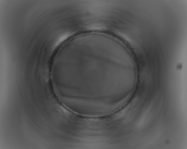 X0000094461306200711211532