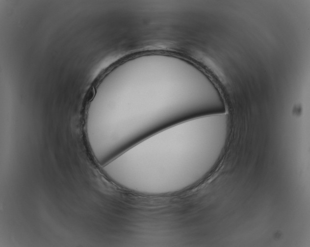X0000094461308200711211532
