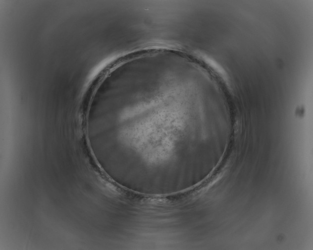 X0000094461310200711211532