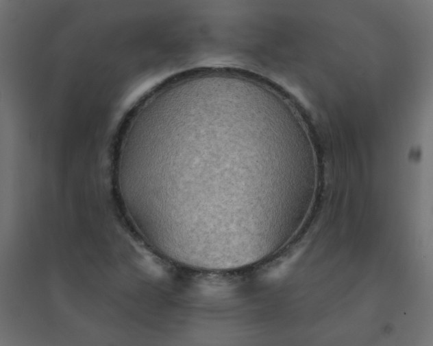 X0000094461311200711211532
