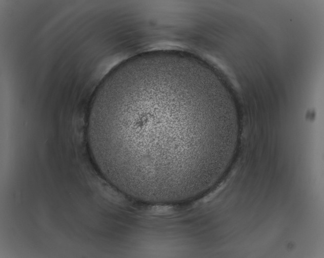 X0000094461313200711211532