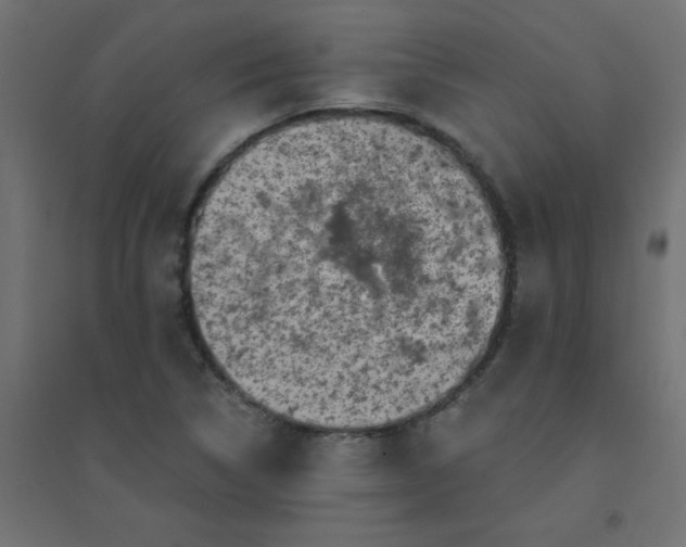 X0000094461314200711211532