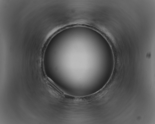 X0000094461316200711211532