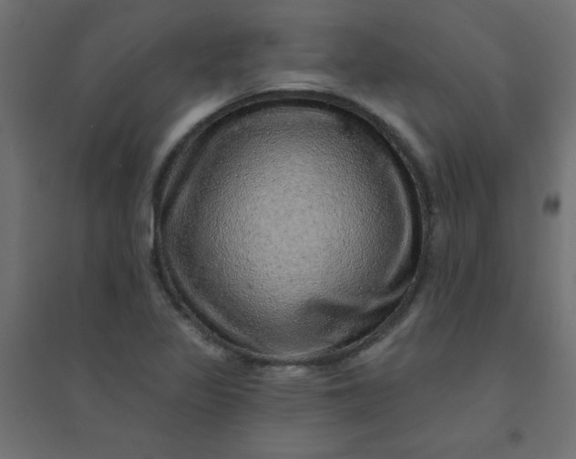 X0000094461317200711211532