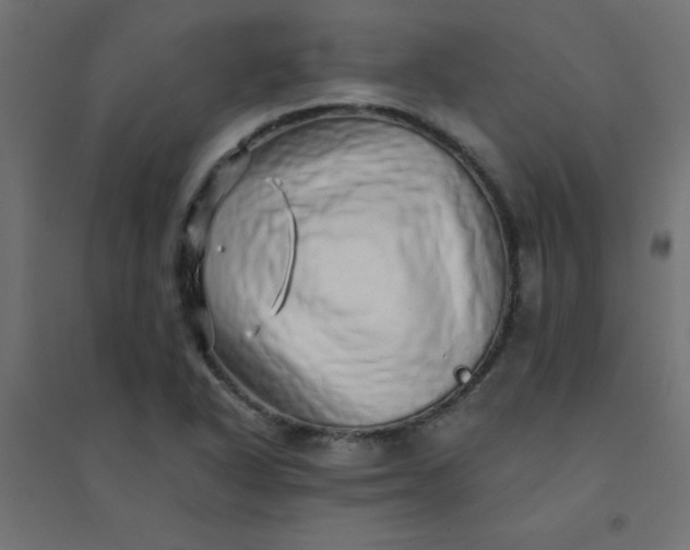 X0000094461318200711211532