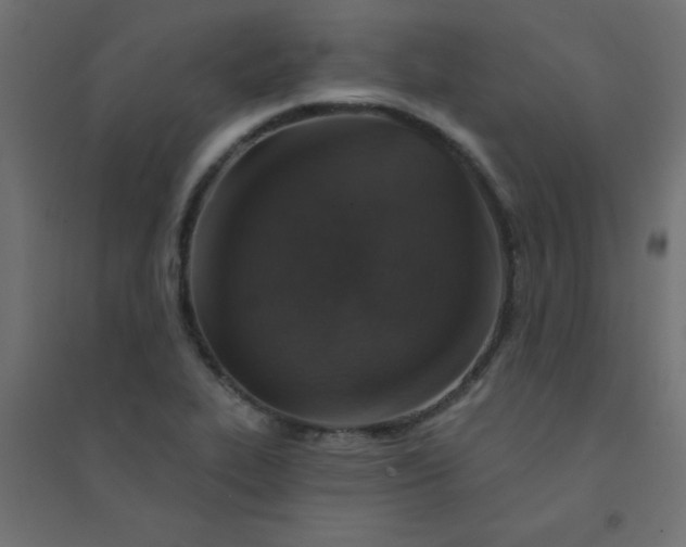 X0000094461319200711211532
