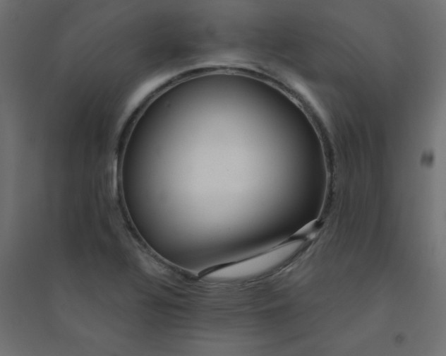 X0000094461320200711211532