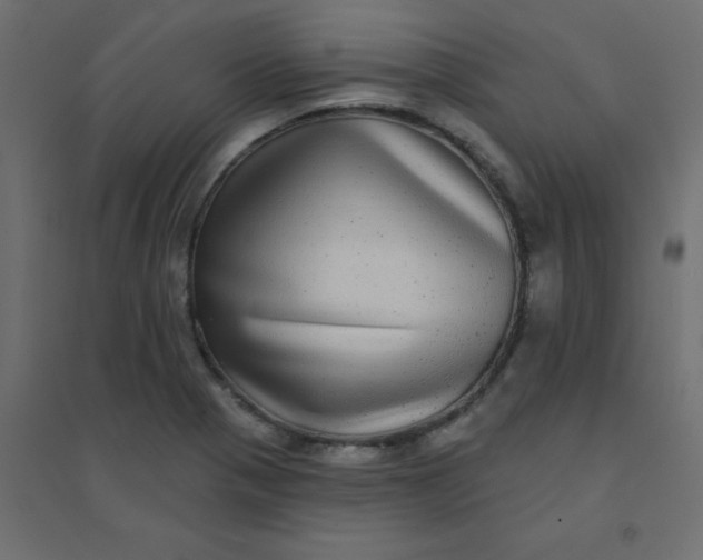 X0000094461321200711211532
