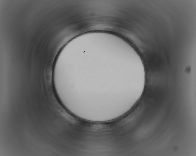 X0000094461322200711211532